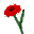 :rose: