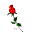:rose1: